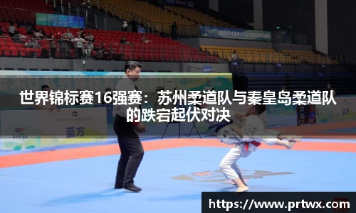OB体育官网入口